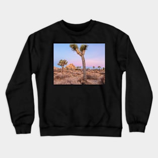 Joshua Trees Sunrise Crewneck Sweatshirt